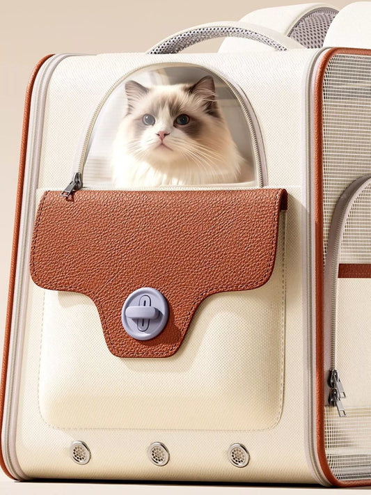 adbcb292-4793-4385-b0e5-5f14424fc164-Max-Origin