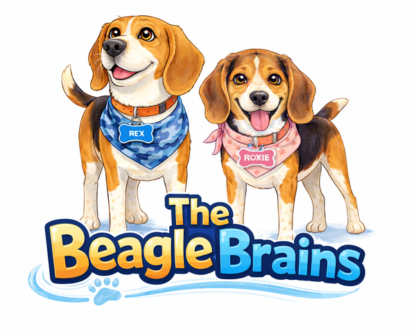 The Beagle Brains